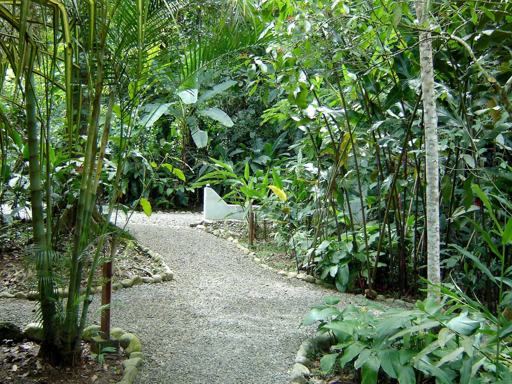 El Colibri Lodge Manzanillo  Exterior photo
