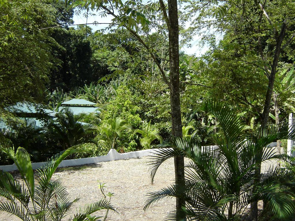 El Colibri Lodge Manzanillo  Exterior photo