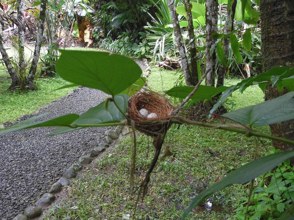 El Colibri Lodge Manzanillo  Exterior photo